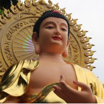 Tương Phật A Di Đà - Điêu Khắc Trần Gia - Cơ Sở Điêu Khắc Trần Gia
